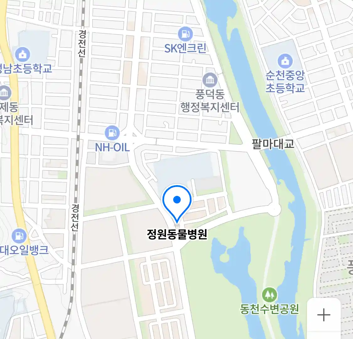 정원동물병원 위치