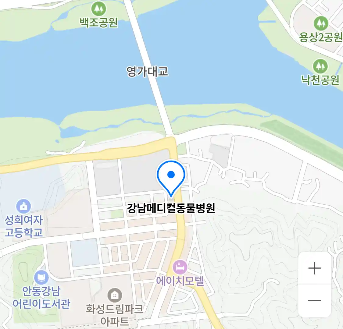 강남메디컬동물병원 위치