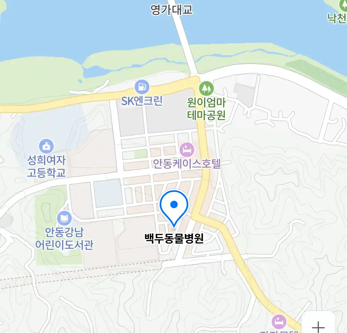 백두동물병원 위치