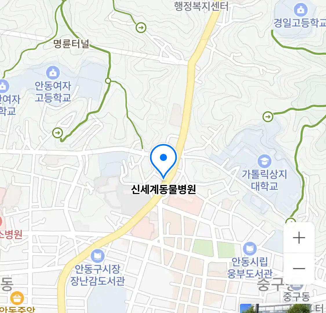 신세계동물병원 위치