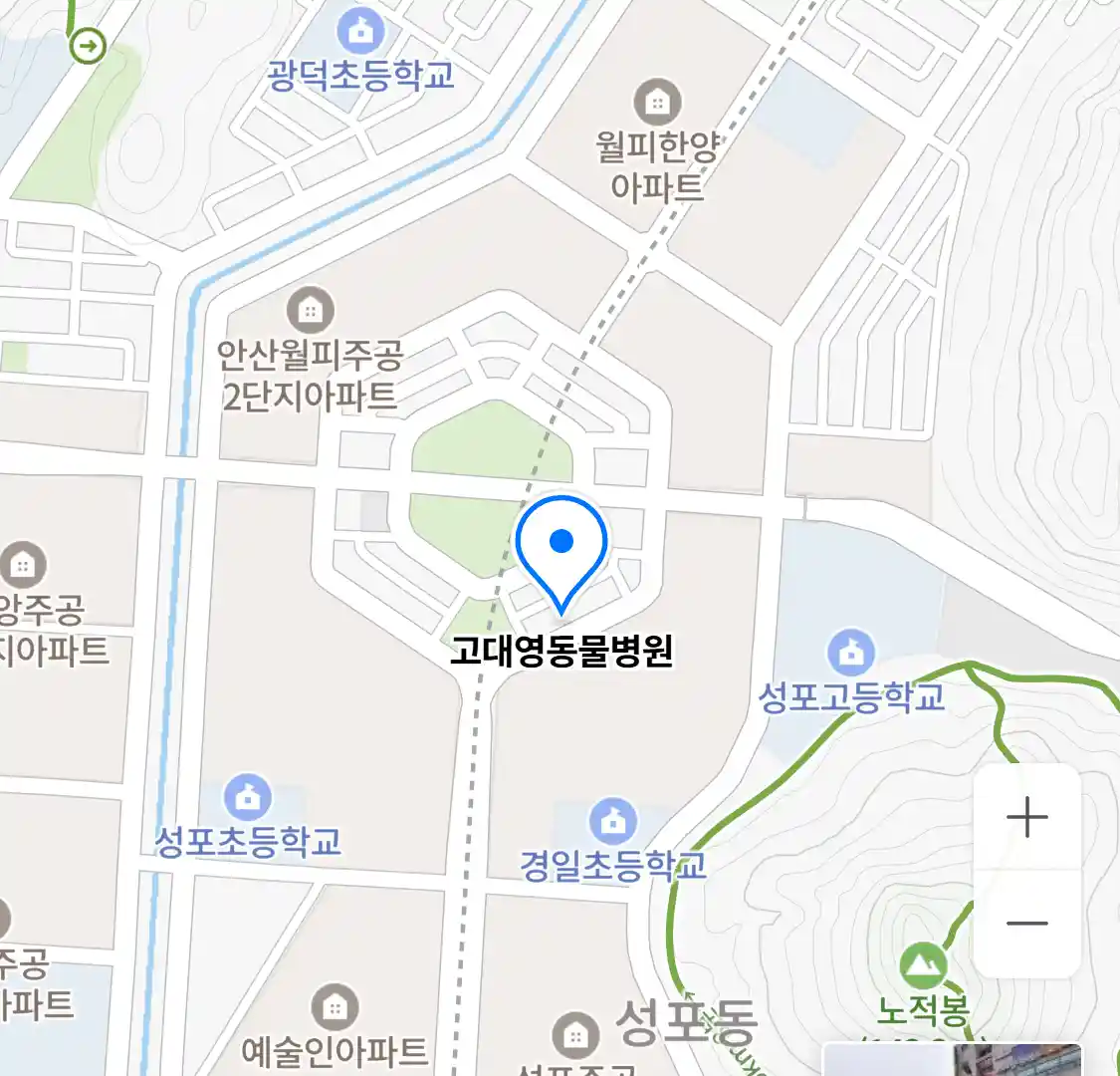 고대영동물병원 위치