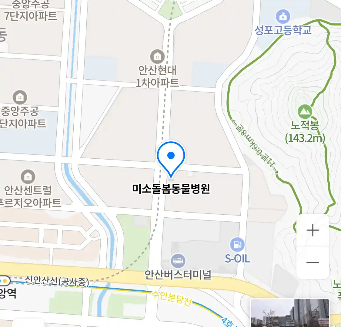 미소돌봄동물병원 위치