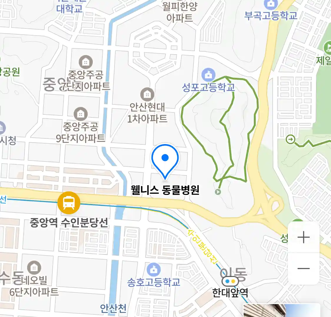 웰니스 동물병원 위치