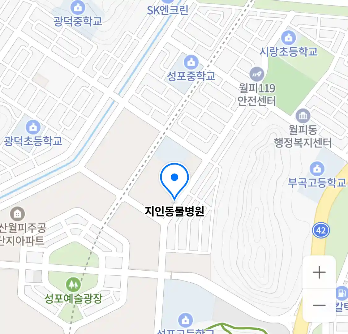 지인동물병원 위치