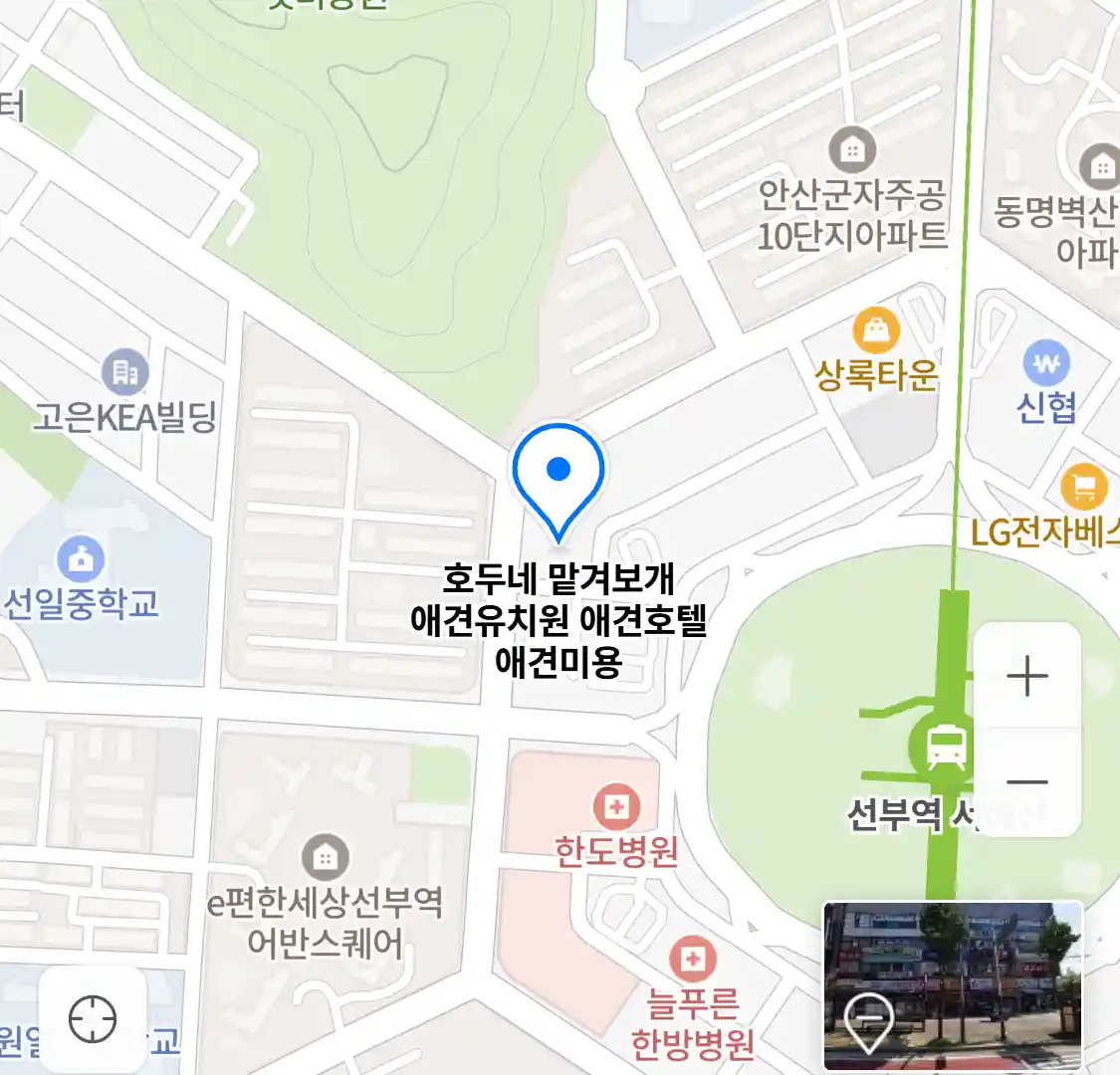 호두네 맡겨보개 위치
