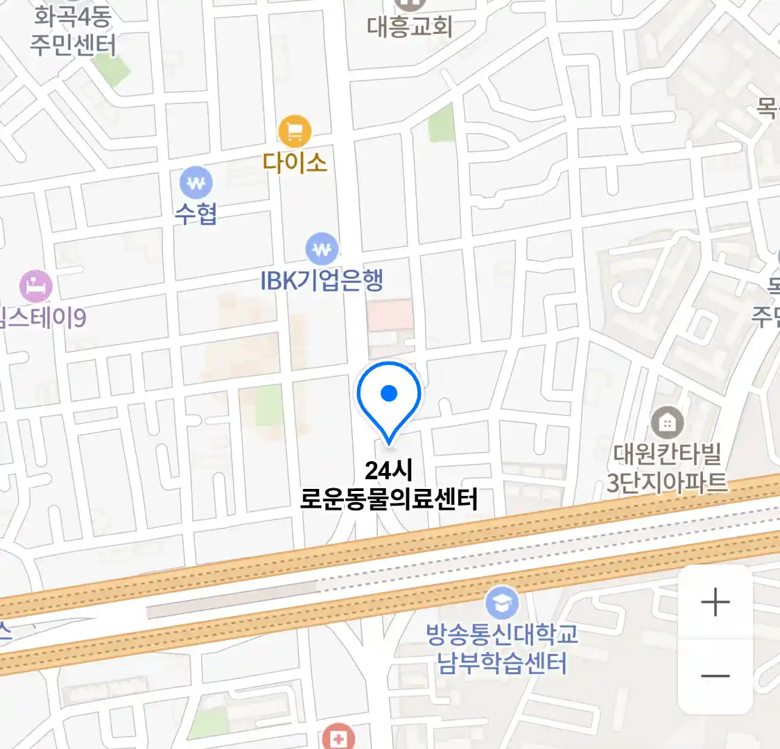 24시 로운동물의료센터 위치