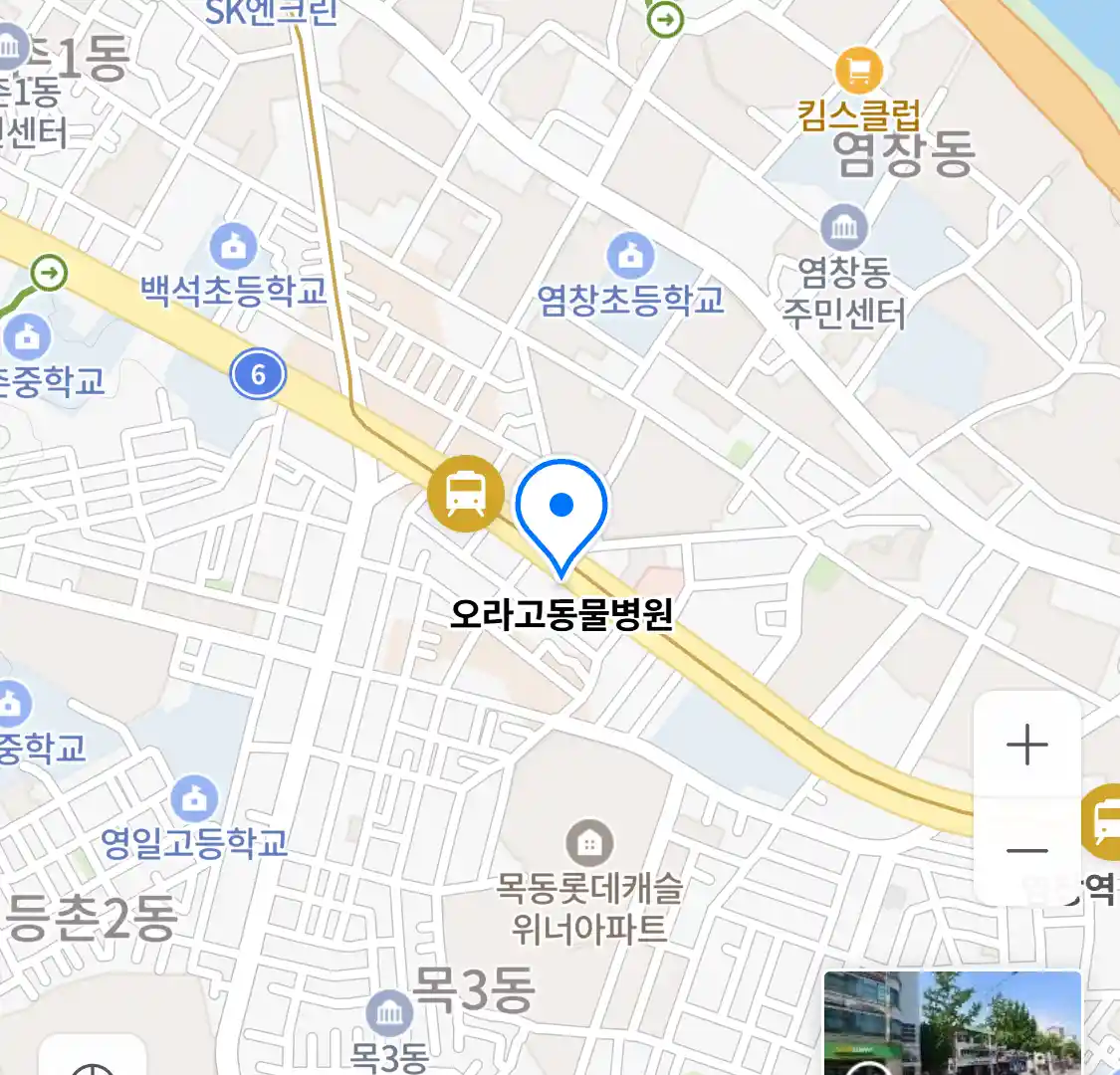오라고동물병원 위치