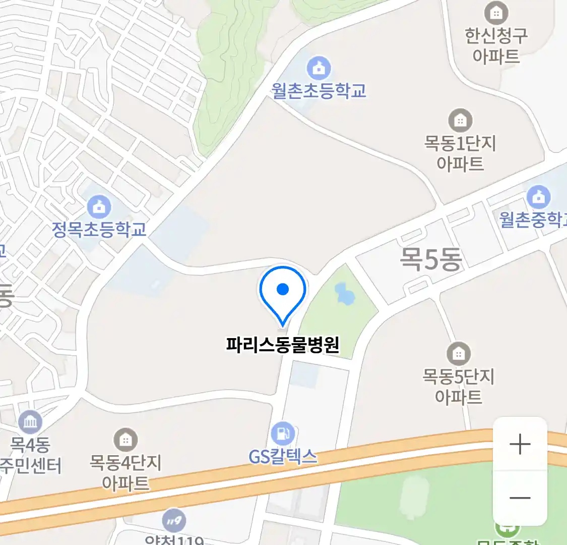 파리스동물병원 위치