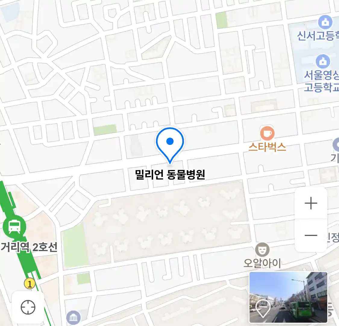 밀리언 동물병원 위치