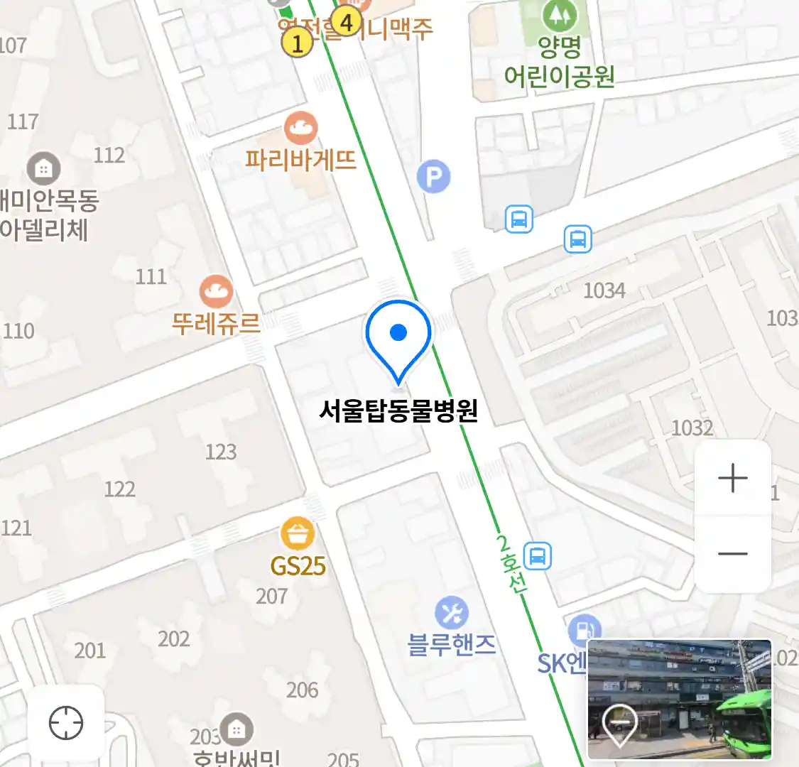 서울탑동물병원 위치