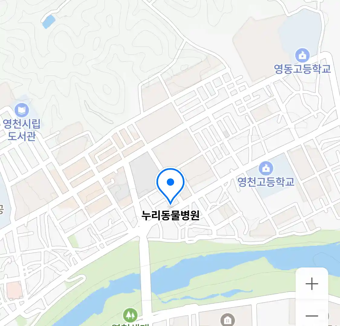 누리동물병원 위치