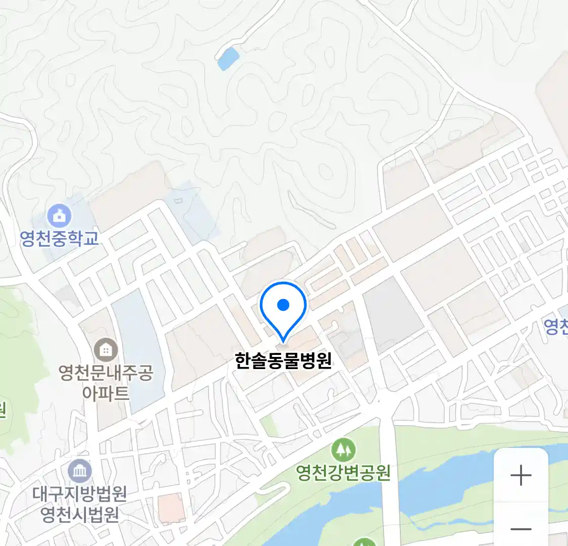 한솔동물병원 위치