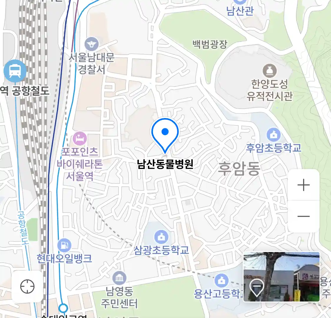남산동물병원 위치