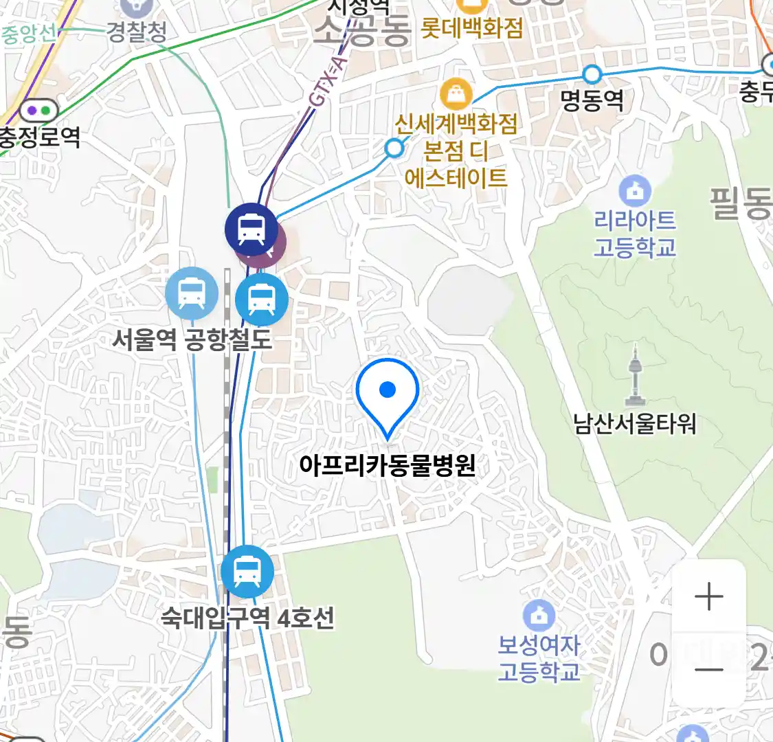 아프리카동물병원 위치