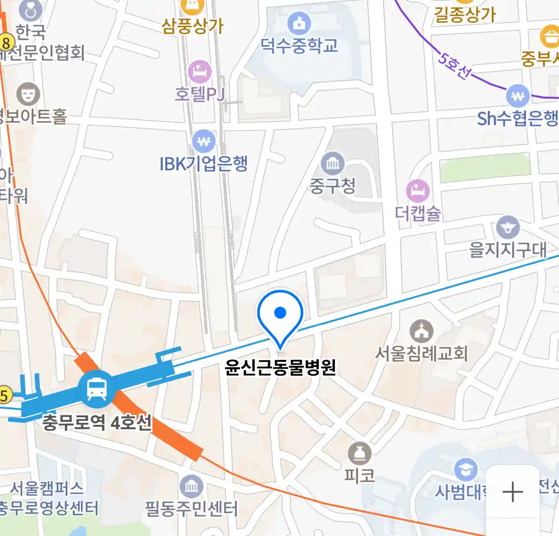 윤신근동물병원 위치