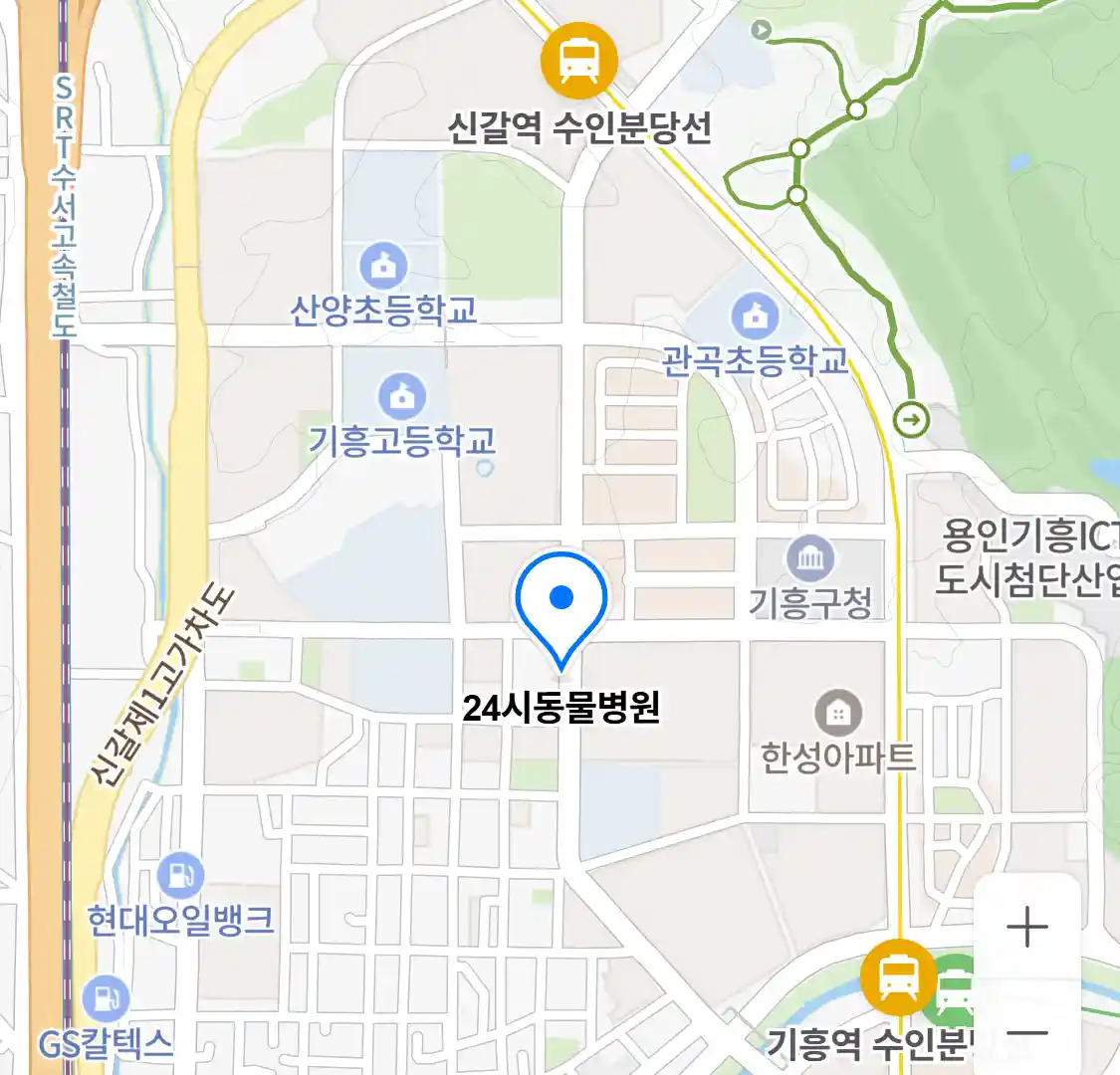 24시동물병원 위치