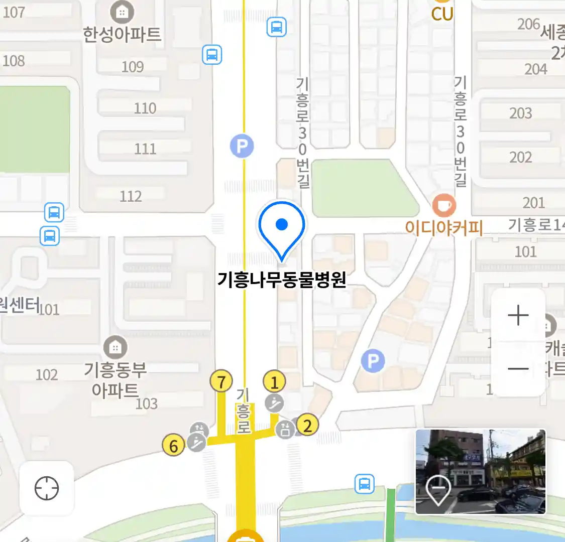 기흥나무동물병원 위치