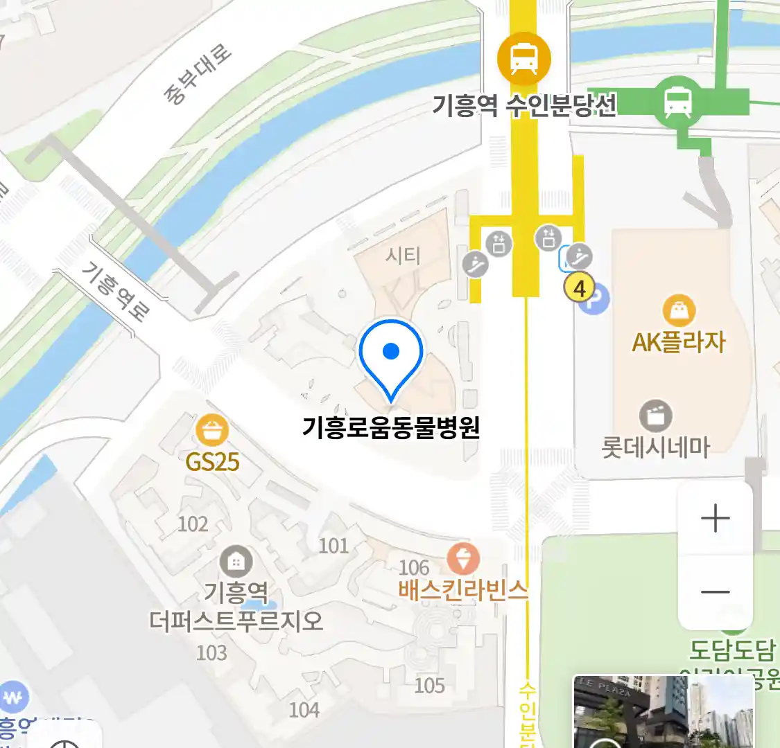 기흥로움동물병원 위치