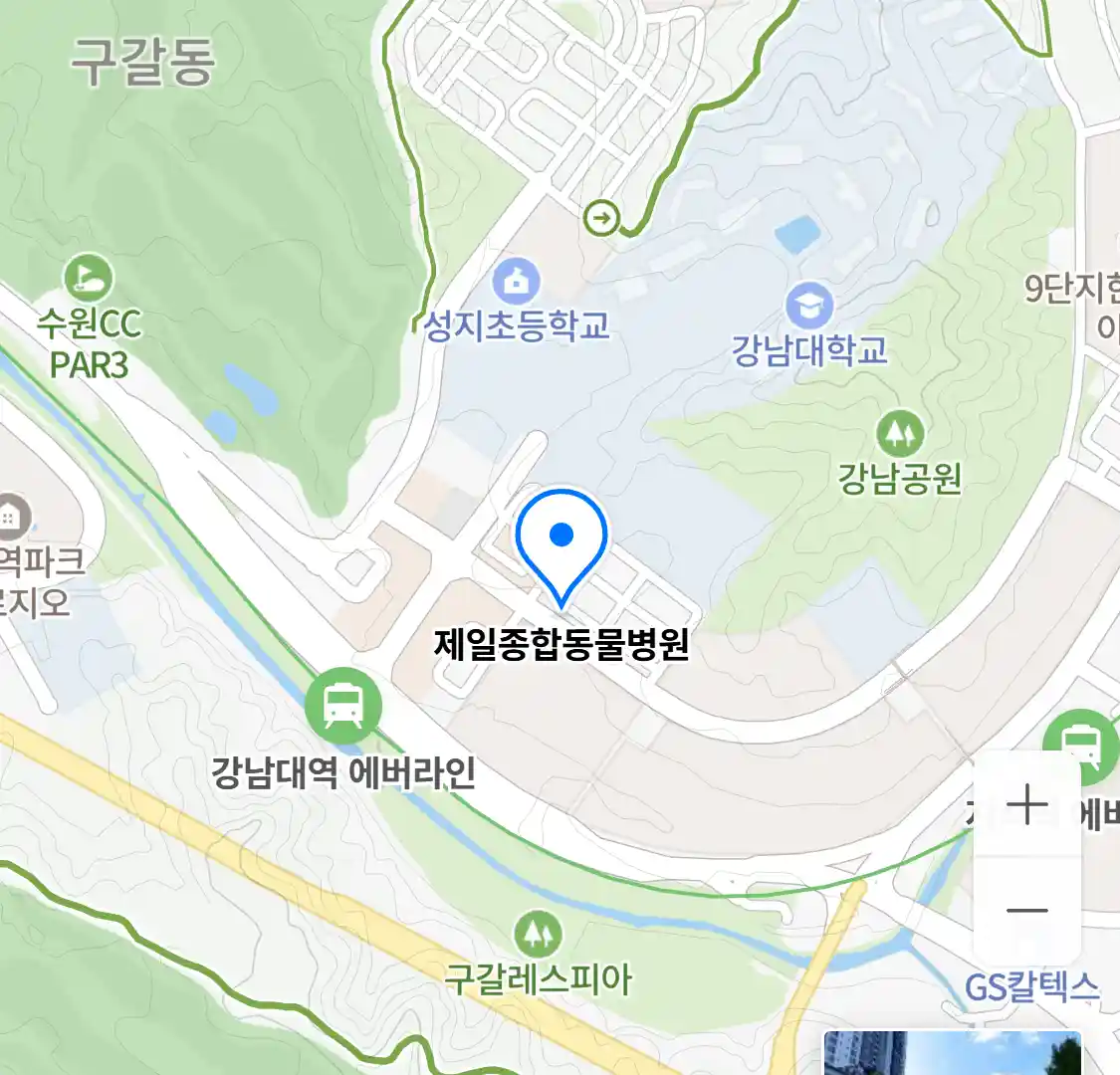 제일종합동물병원 위치