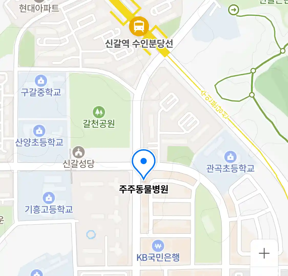 주주동물병원 위치
