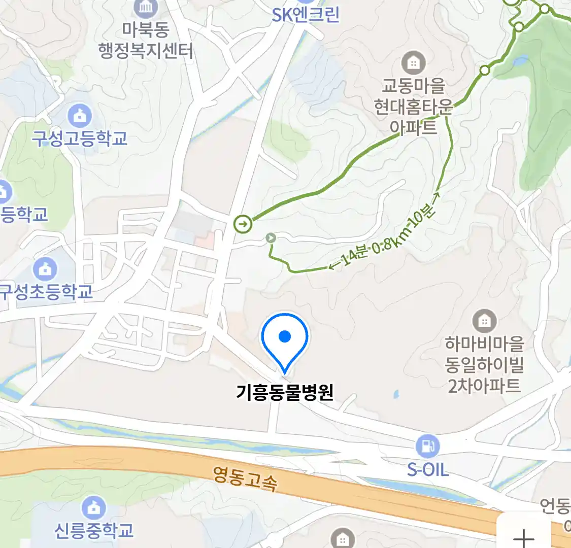 기흥동물병원 위치