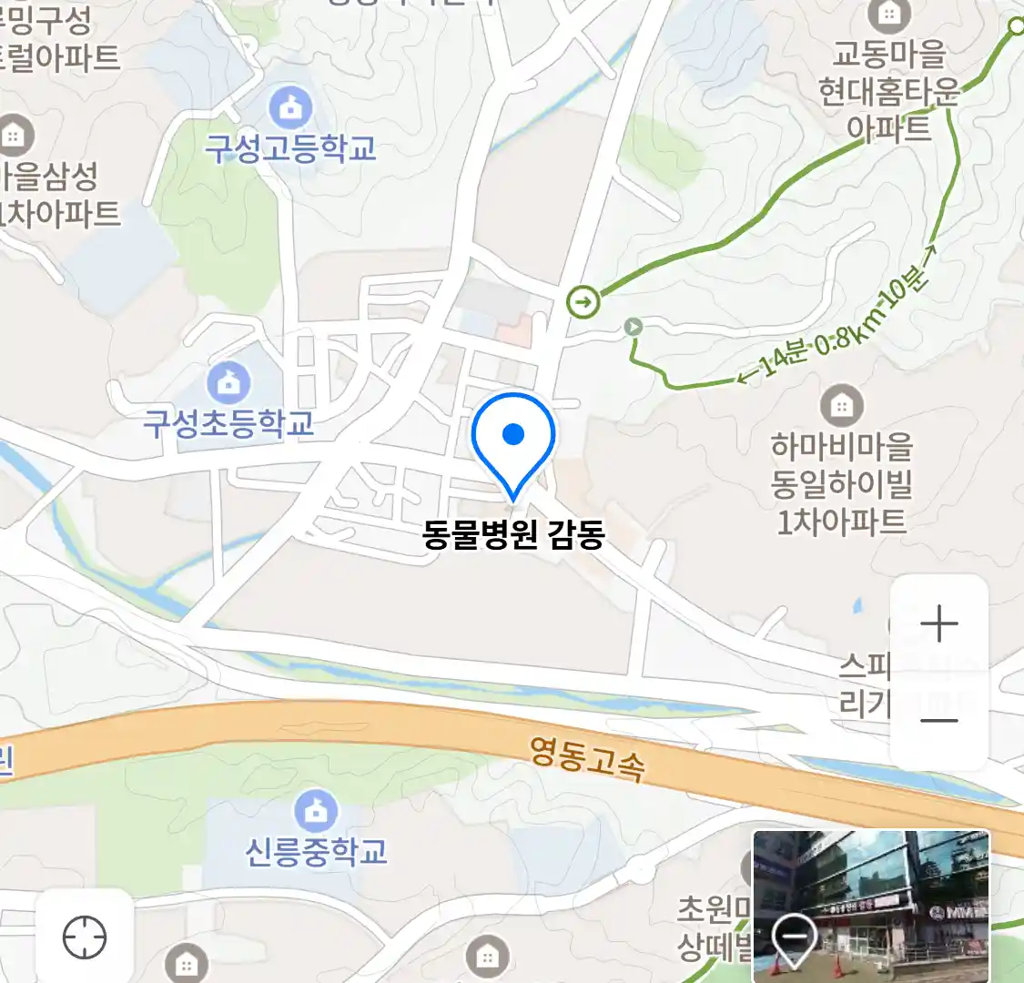 동물병원 감동 위치