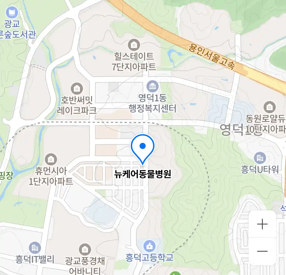 뉴케어동물병원 위치
