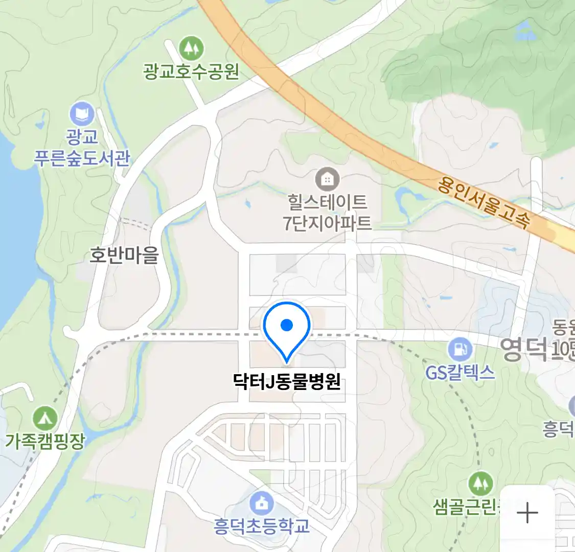 닥터J동물병원 위치