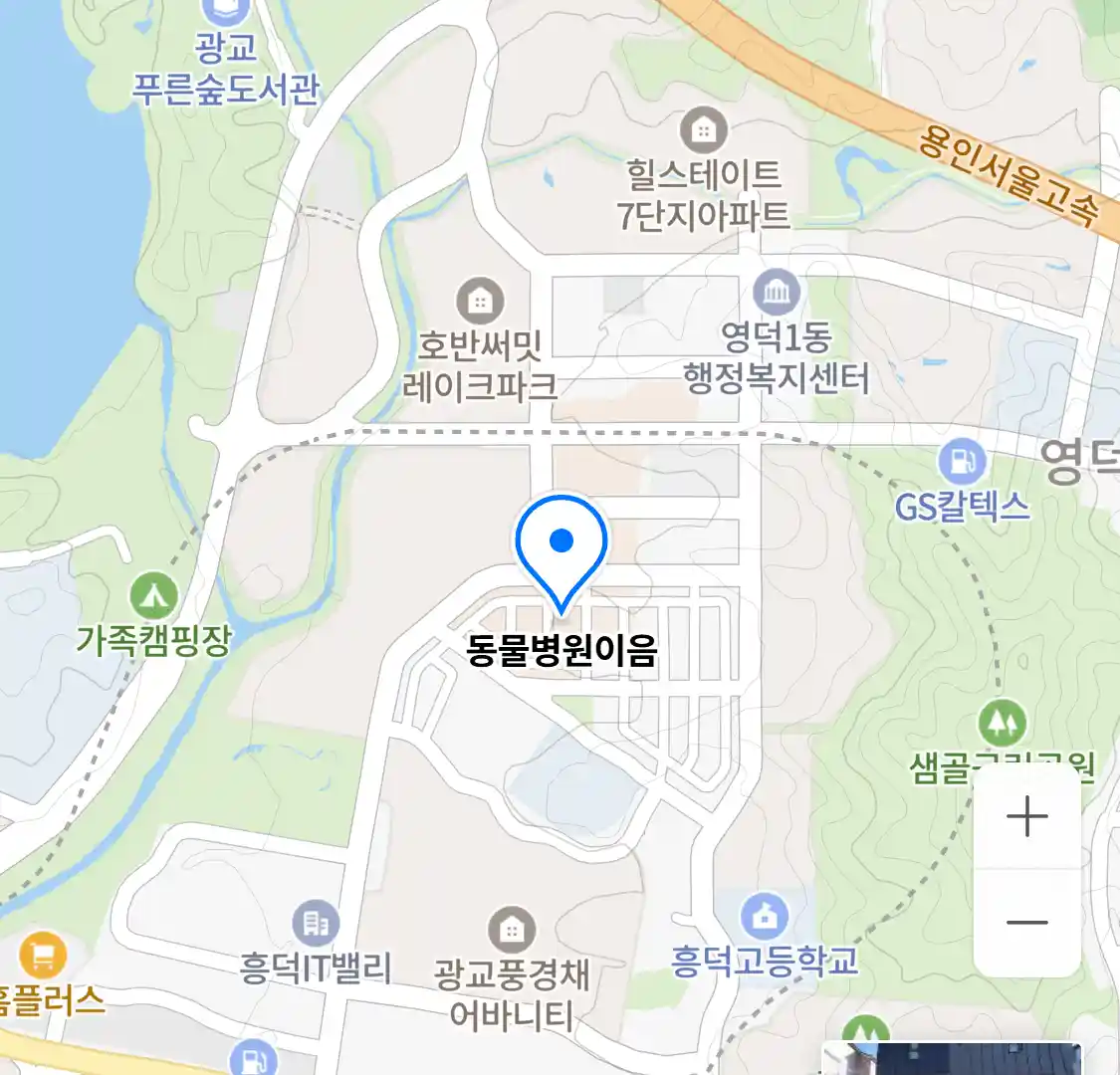 동물병원이음 위치