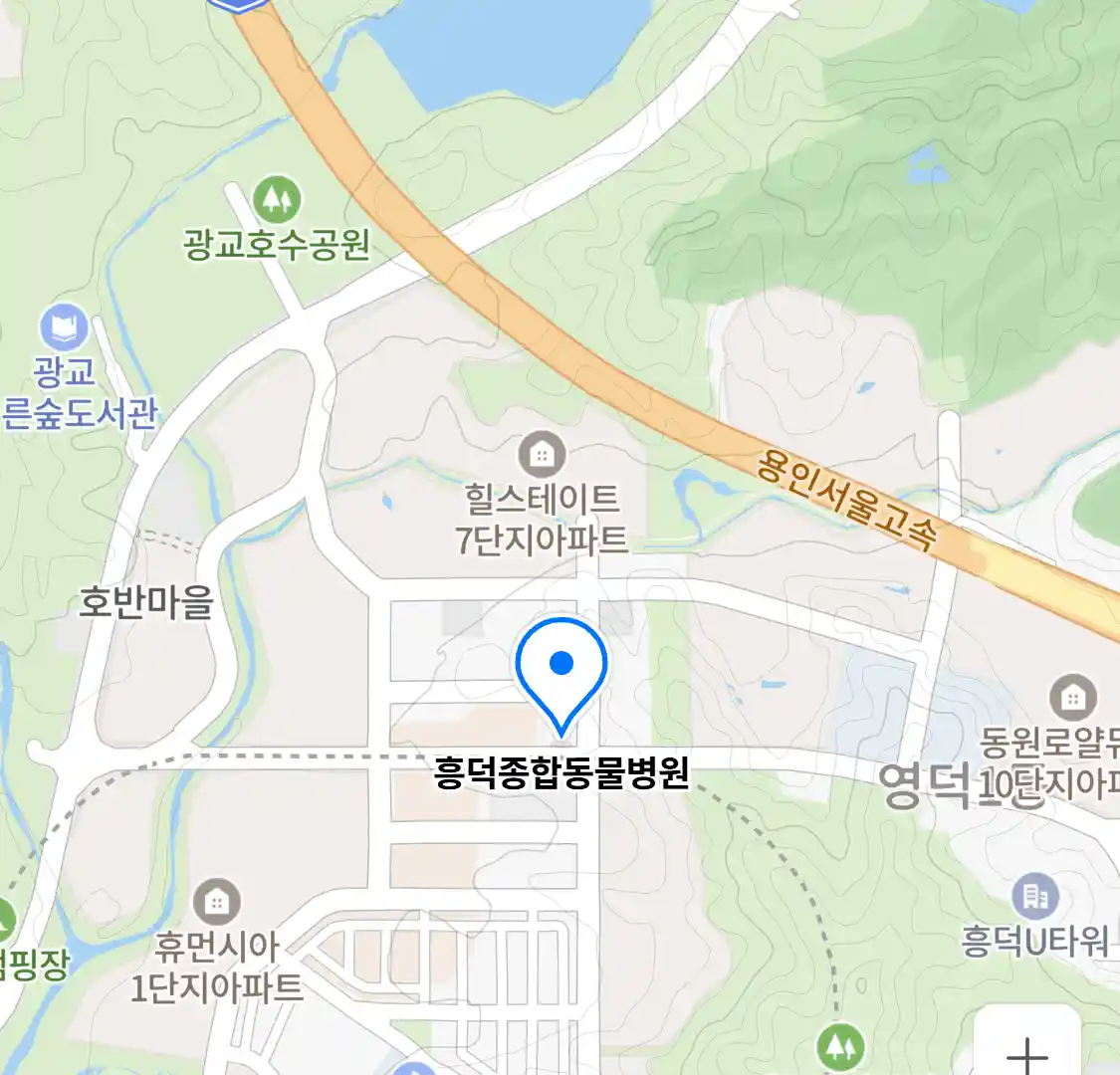 흥덕종합동물병원 위치