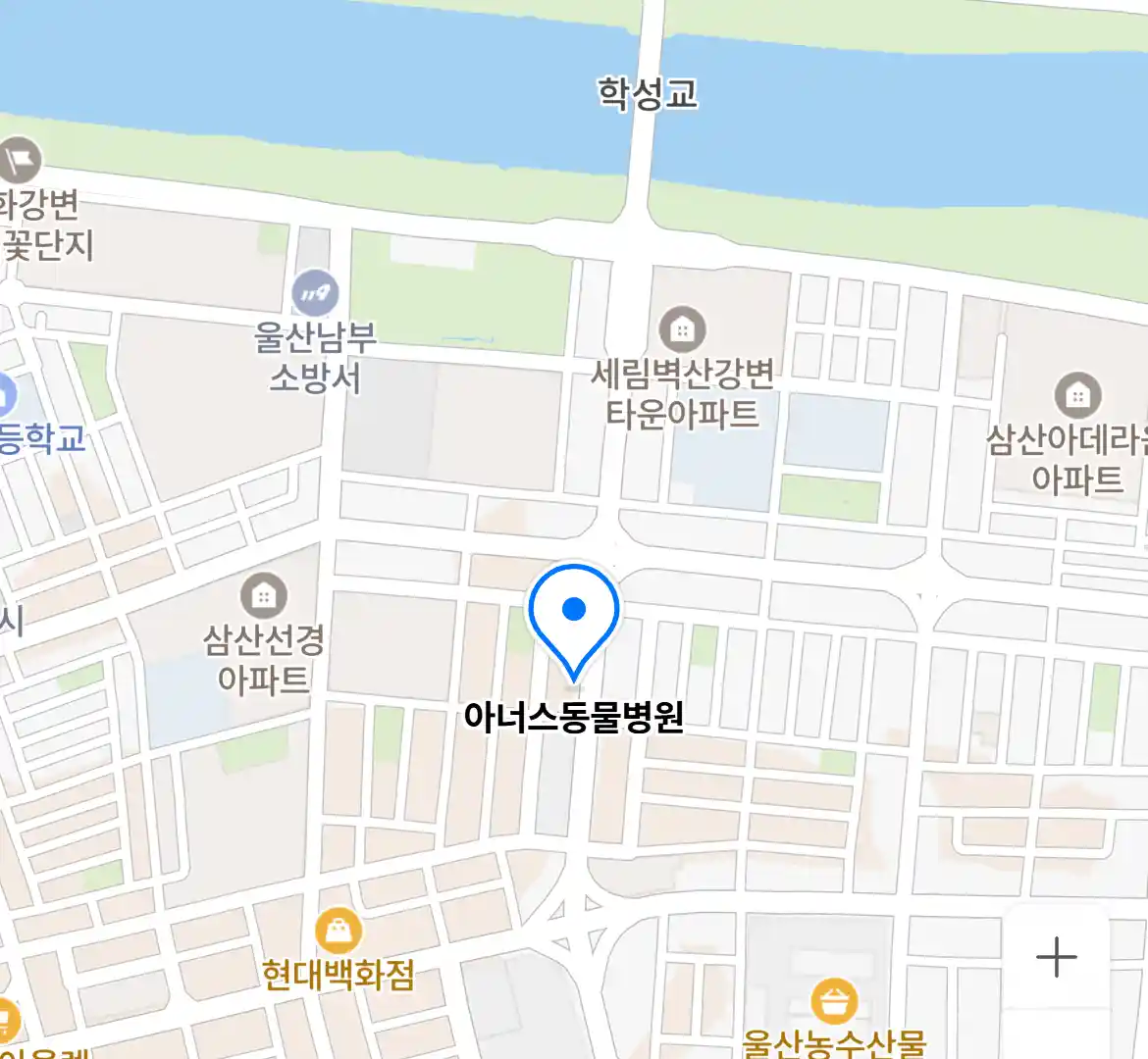 아너스동물병원 위치