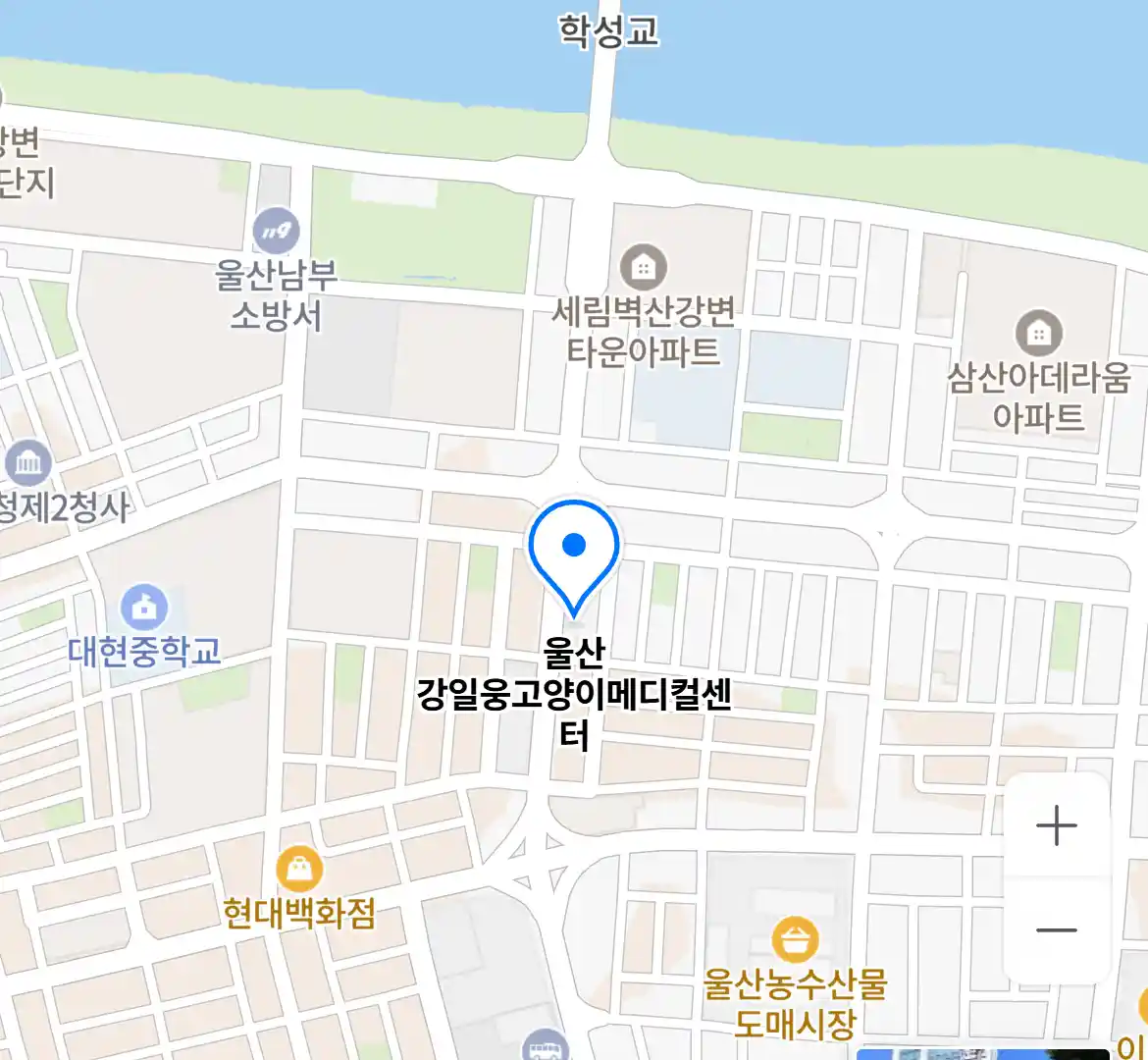 울산 강일웅고양이메디컬센터 위치
