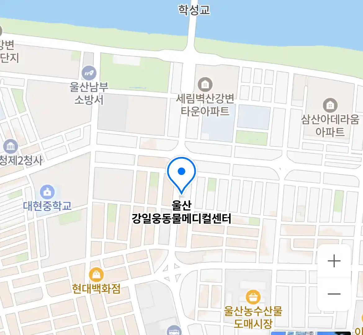 울산 강일웅동물메디컬센터 위치