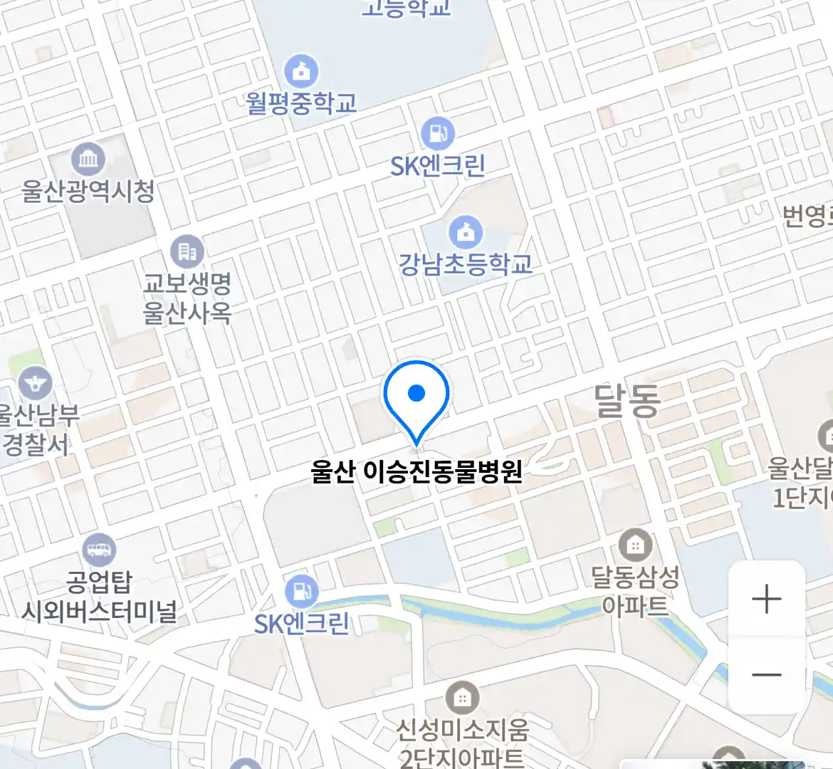 울산 이승진동물병원 위치