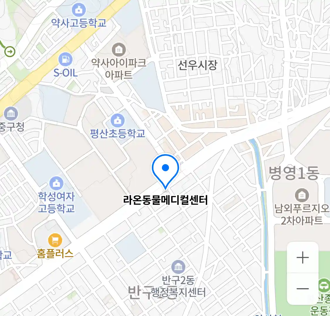 라온동물메디컬센터 위치