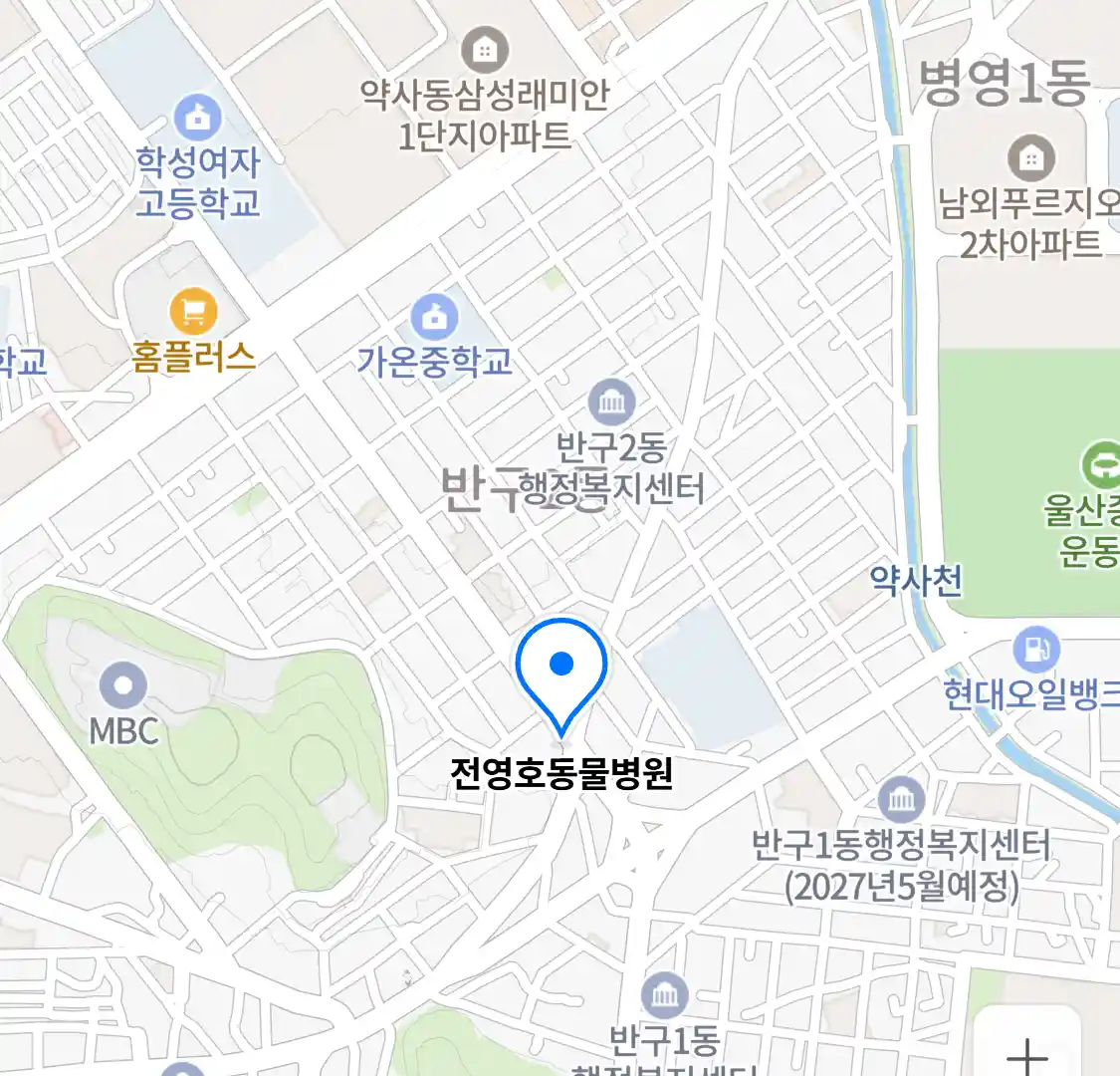전영호동물병원 위치
