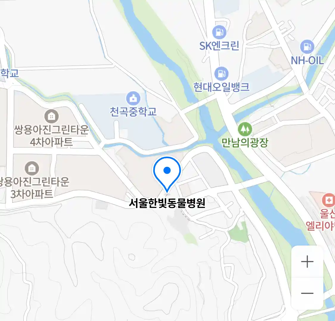 서울한빛동물병원 위치