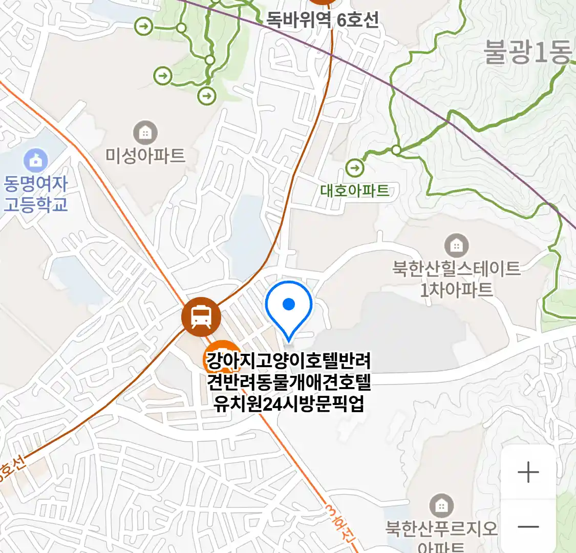 강아지고양이호텔반려견반려동물개애견호텔유치원24시방문픽업 위치