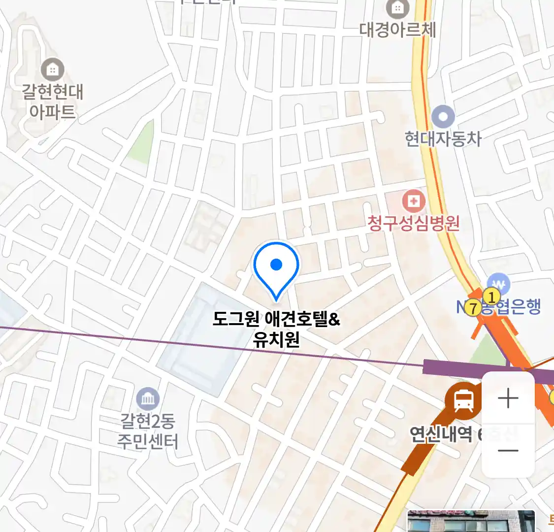 도그원 애견호텔&유치원 위치