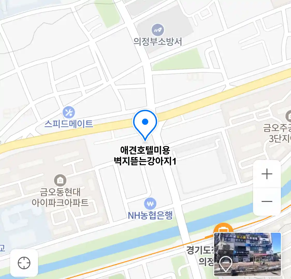 애견호텔미용 벽지뜯는강아지1 위치