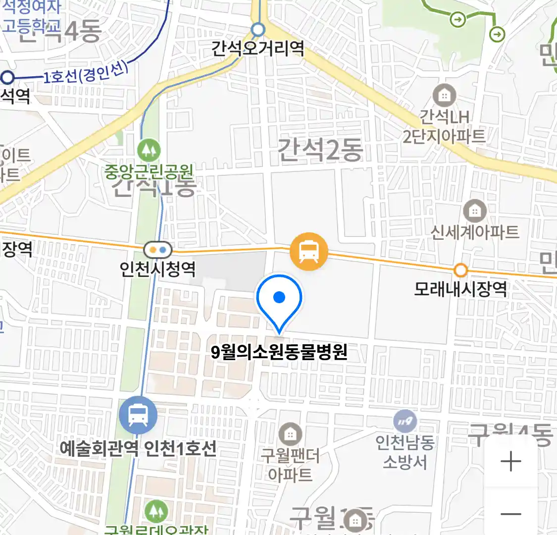 9월의소원동물병원 위치