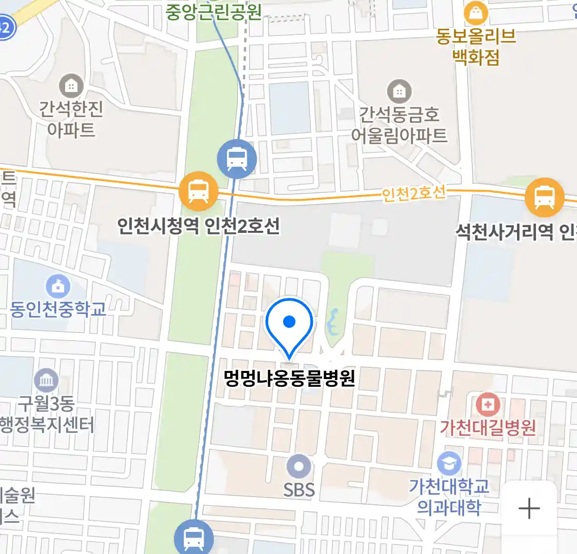 멍멍냐옹동물병원 위치