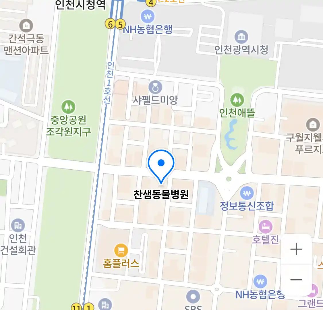 찬샘동물병원 위치