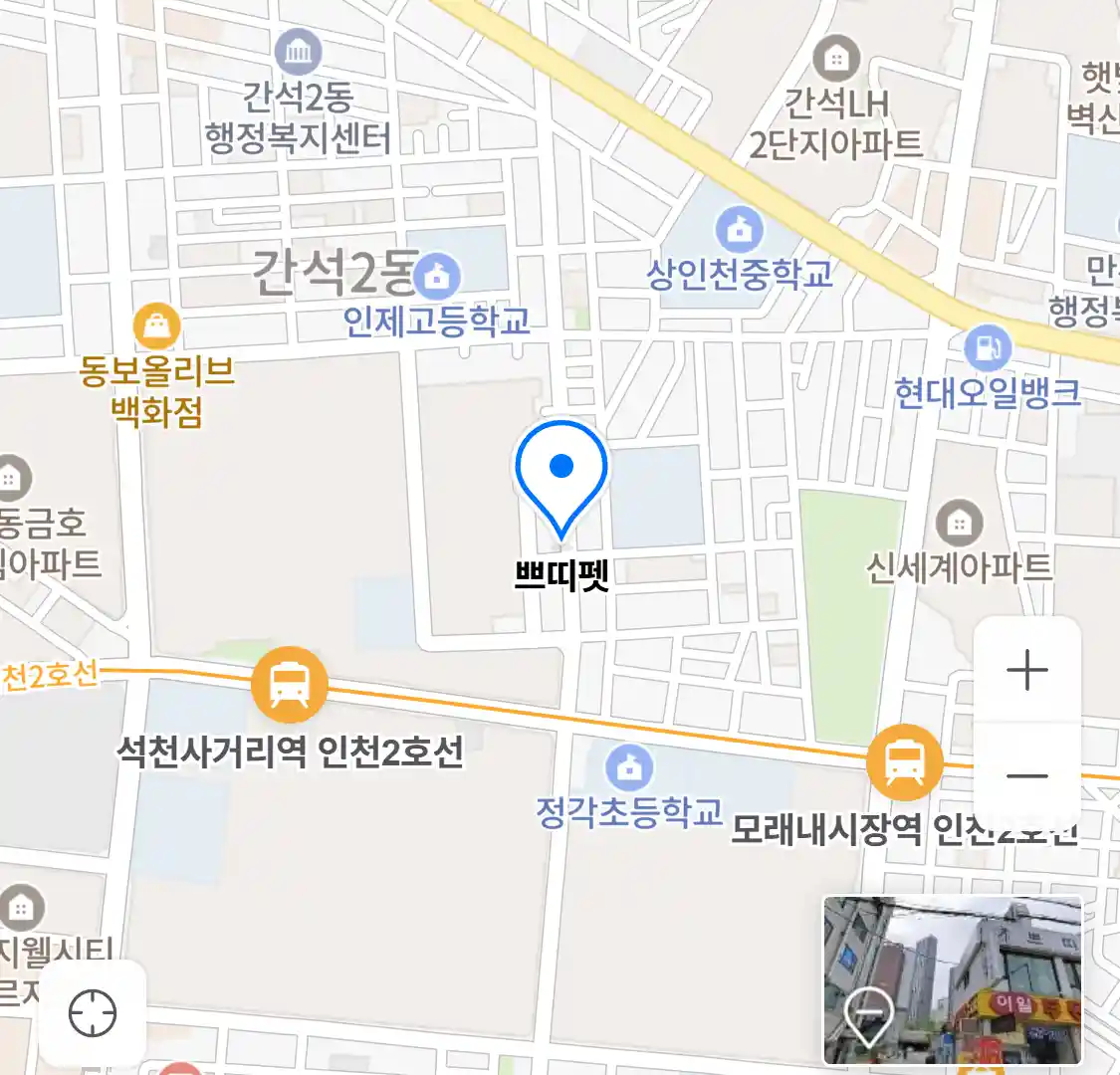쁘띠펫 위치