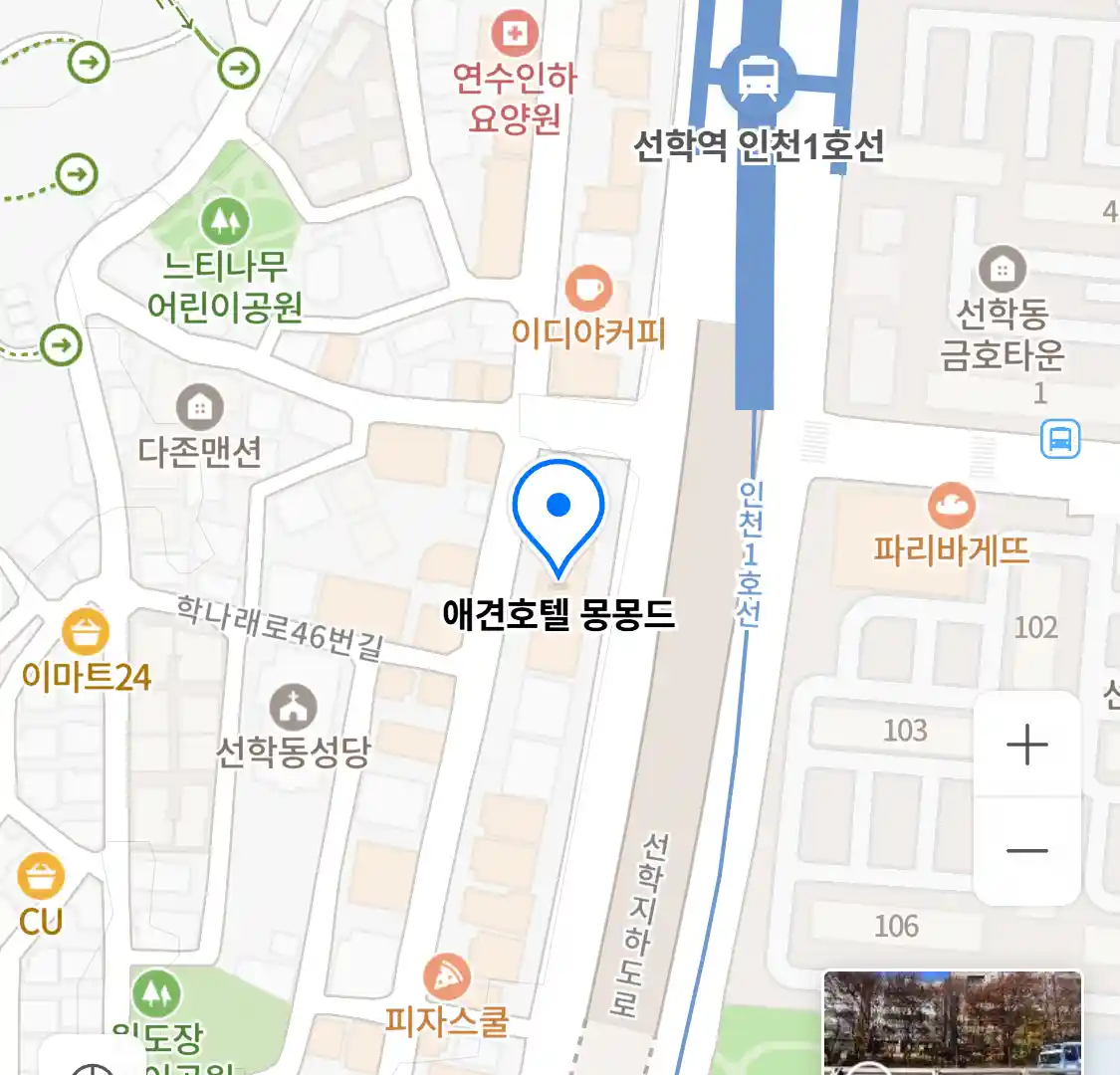 애견호텔 몽몽드 위치