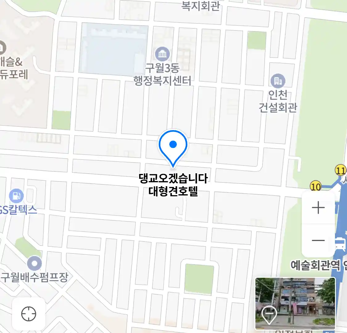 댕교오겠습니다 대형견호텔 위치