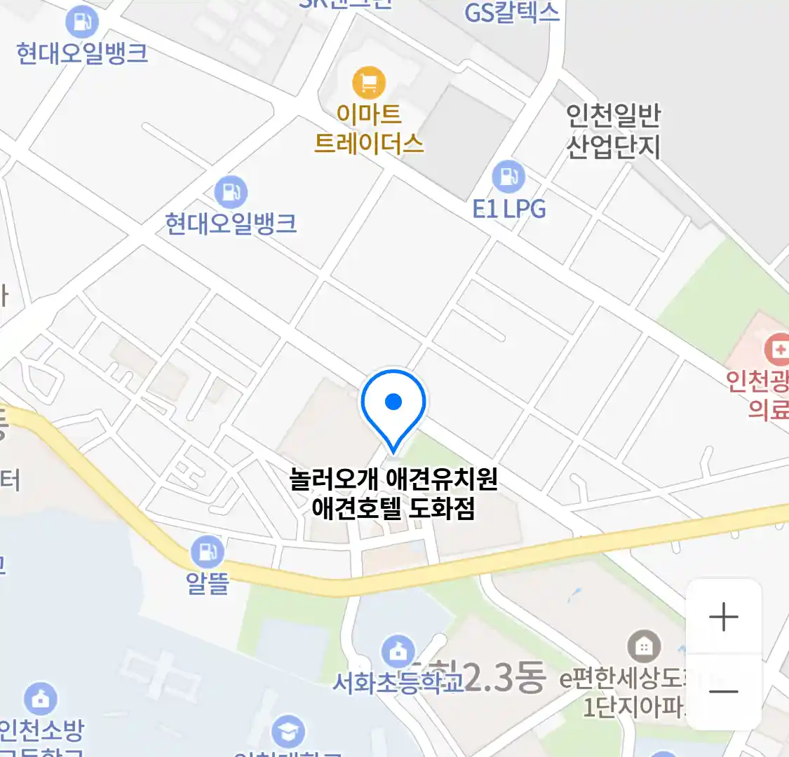 놀러오개 애견유치원 애견호텔 도화점 위치