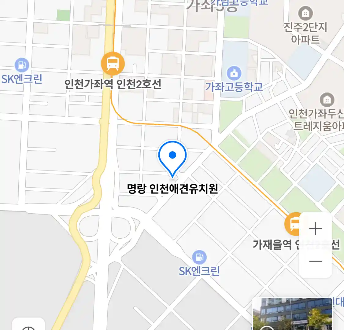 명랑 인천애견유치원 위치