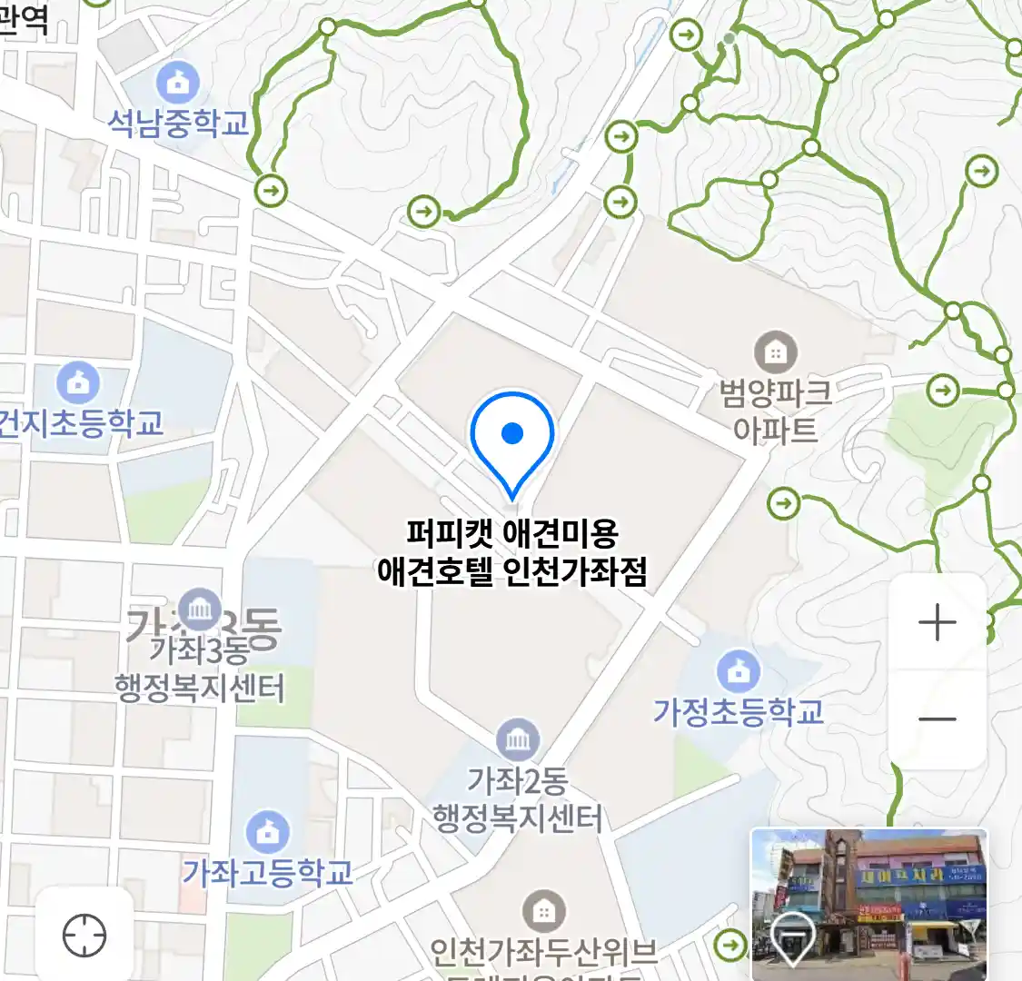 퍼피캣 애견미용 애견호텔 인천가좌점 위치