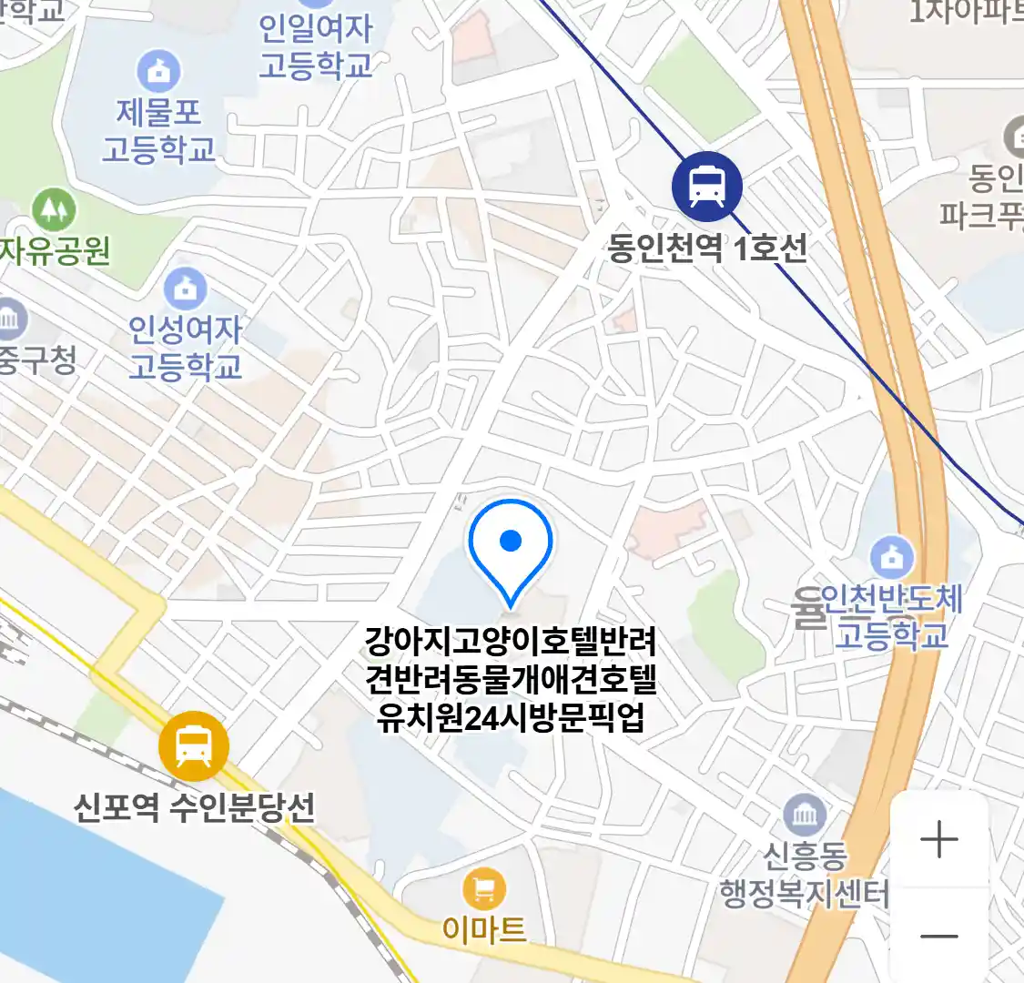 숭의동 애견호텔 위치